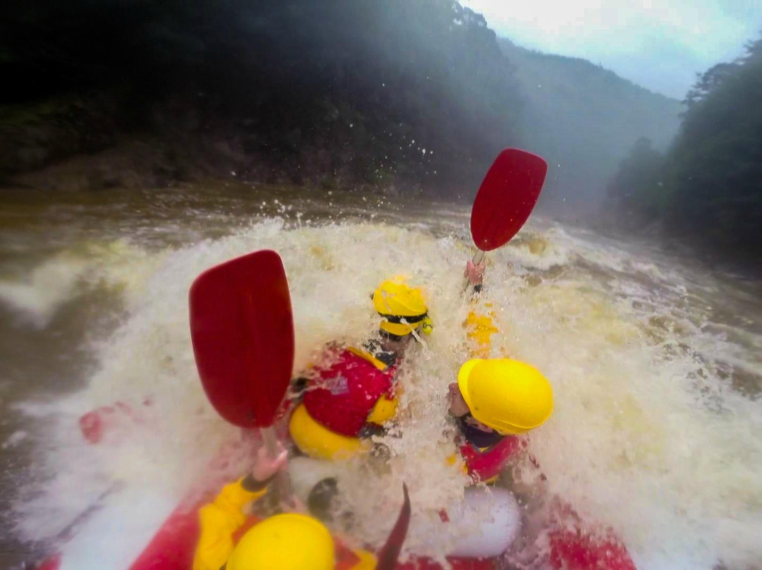 King River Rafting-皇后镇必去景点