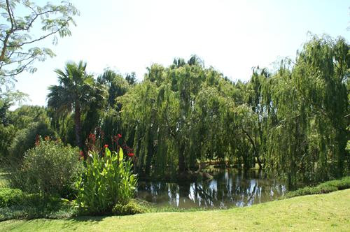 Klein Waterkloof B&B主图