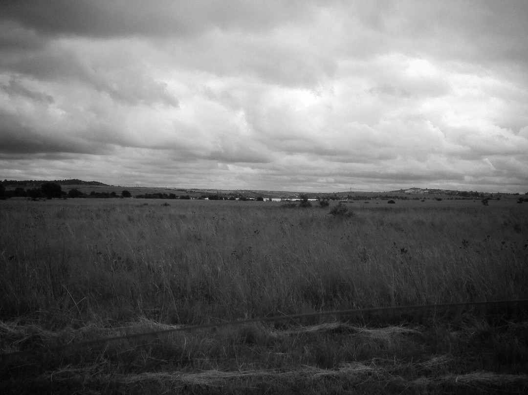 Rietvlei Nature Reserve-比勒陀利亚必去景点