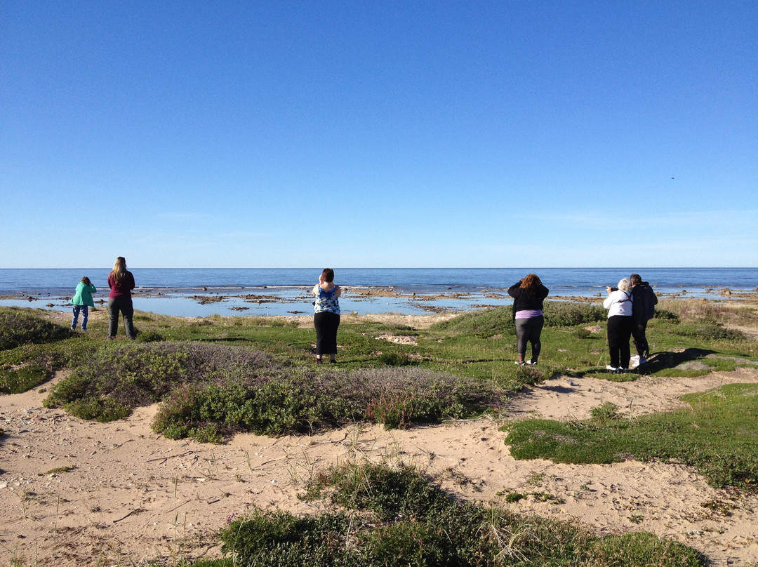 The Churchill Experience Tours-丘吉尔必去景点