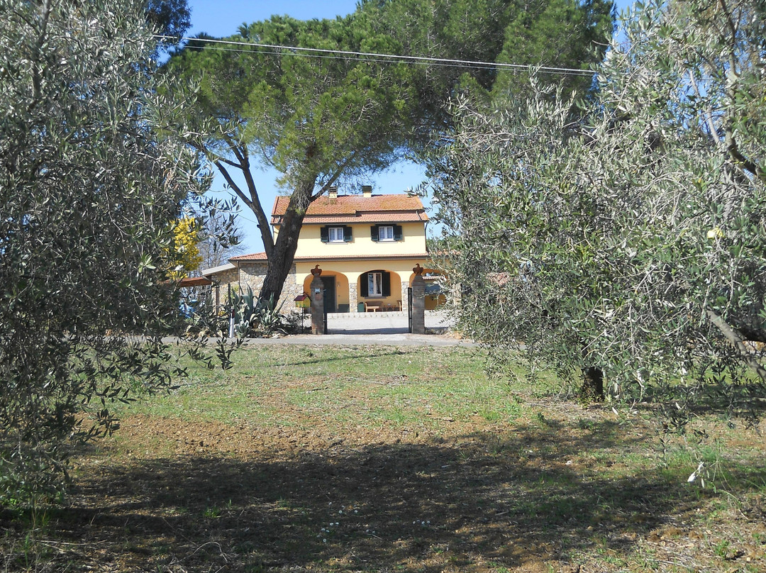 Agriturismo Poggio Sassineri主图