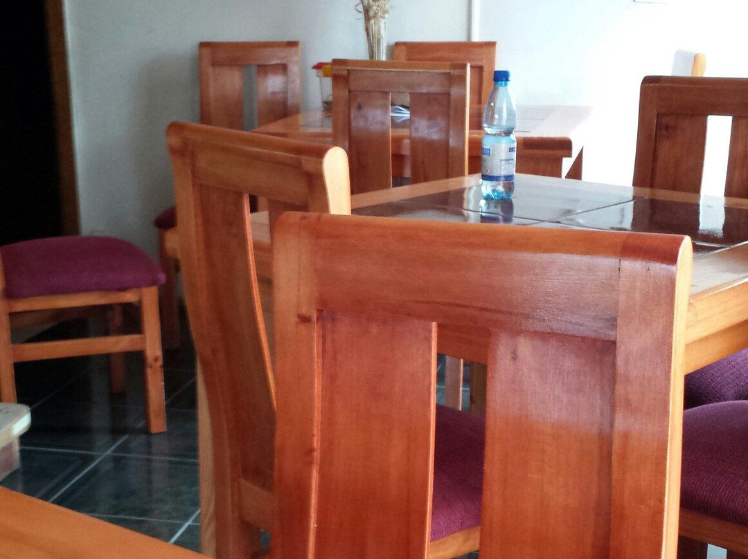 Balmaceda酒店住宿-Residencial Aire Patagon