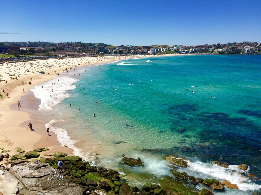 新南威尔士州旅游攻略图片