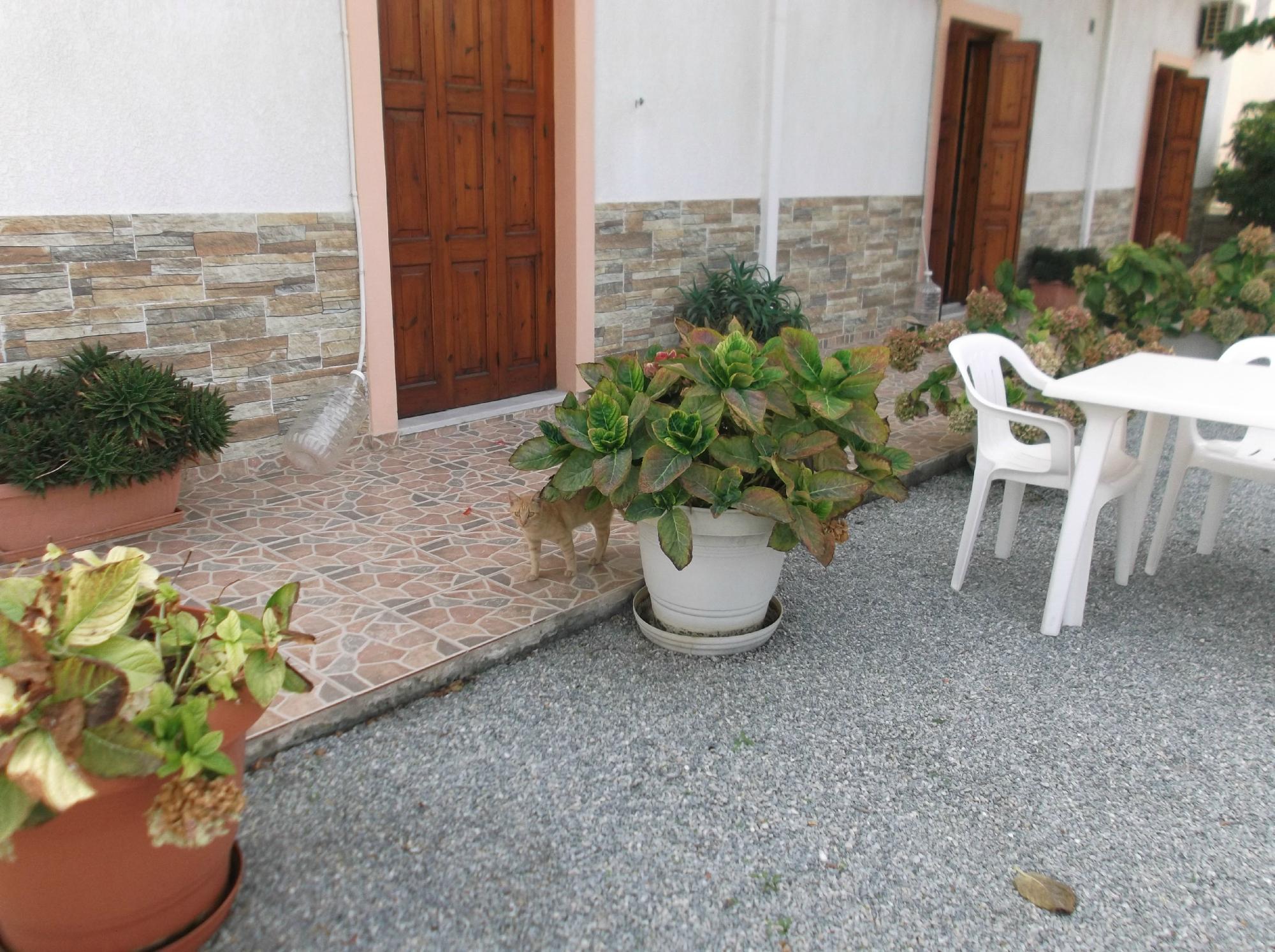 Pension Neapolis Samos-客卧