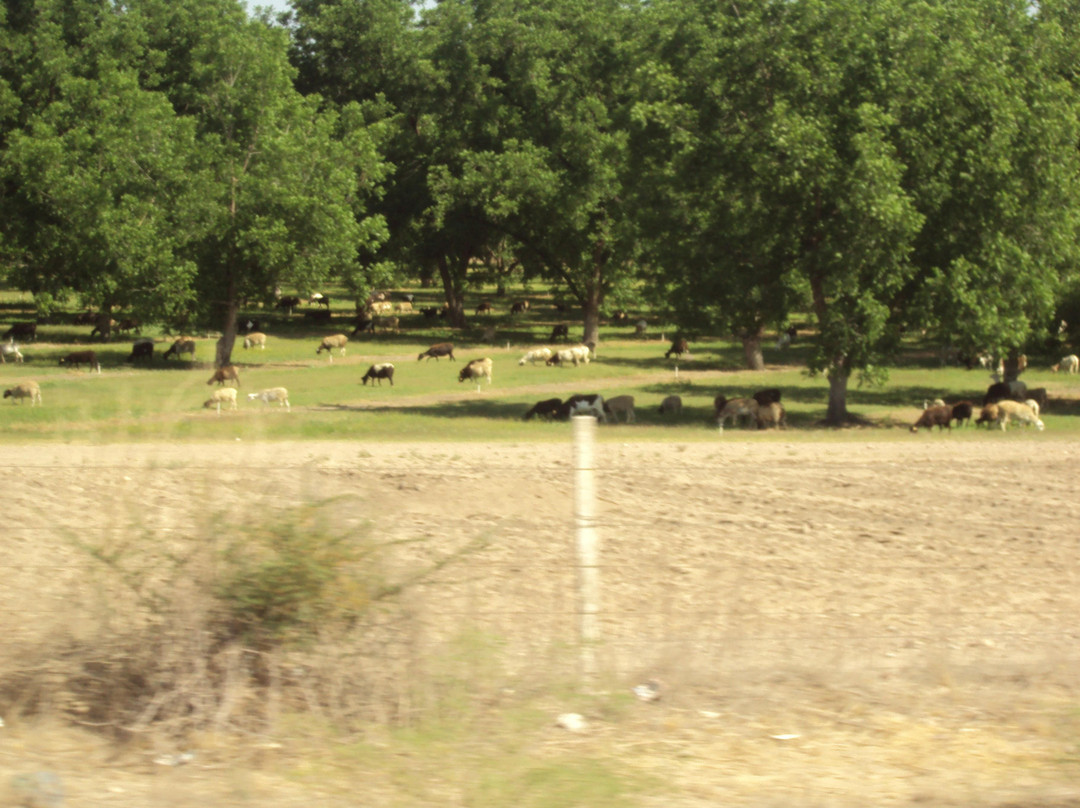 Ojo de Dolores-奇瓦瓦州必去景点