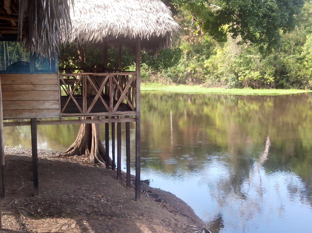 Amazon Sunrise Lodge