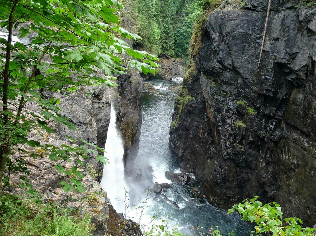 Elk Falls Provincial Park景点图片
