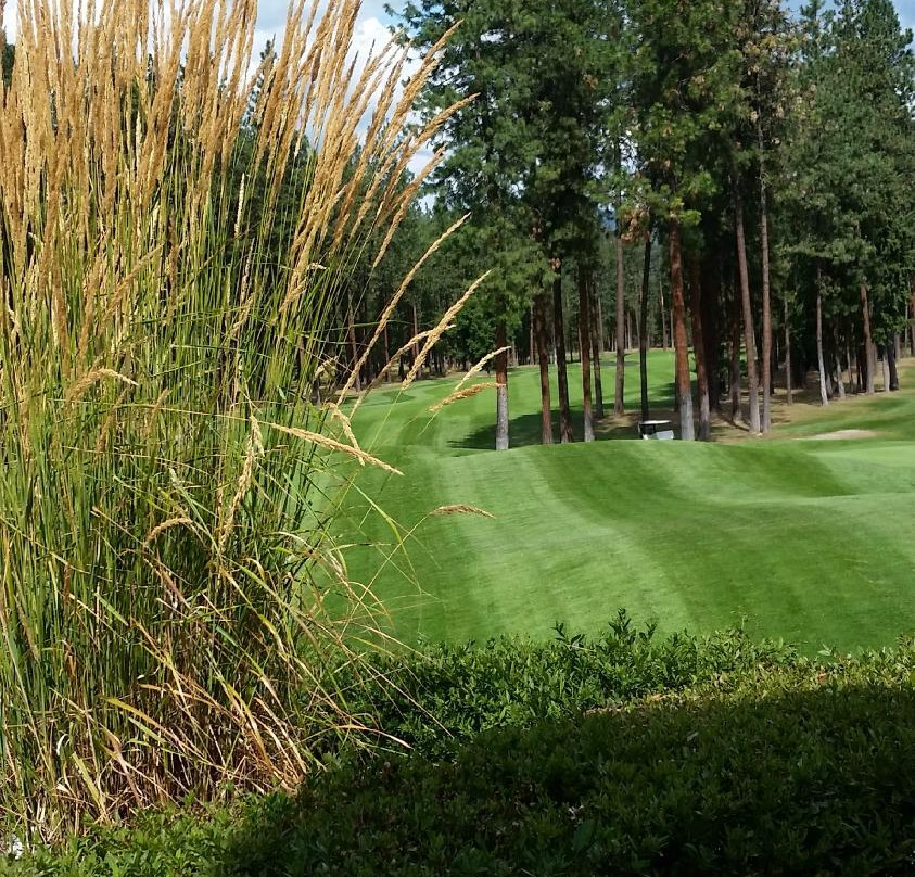 Christina Lake Golf Club景点图片