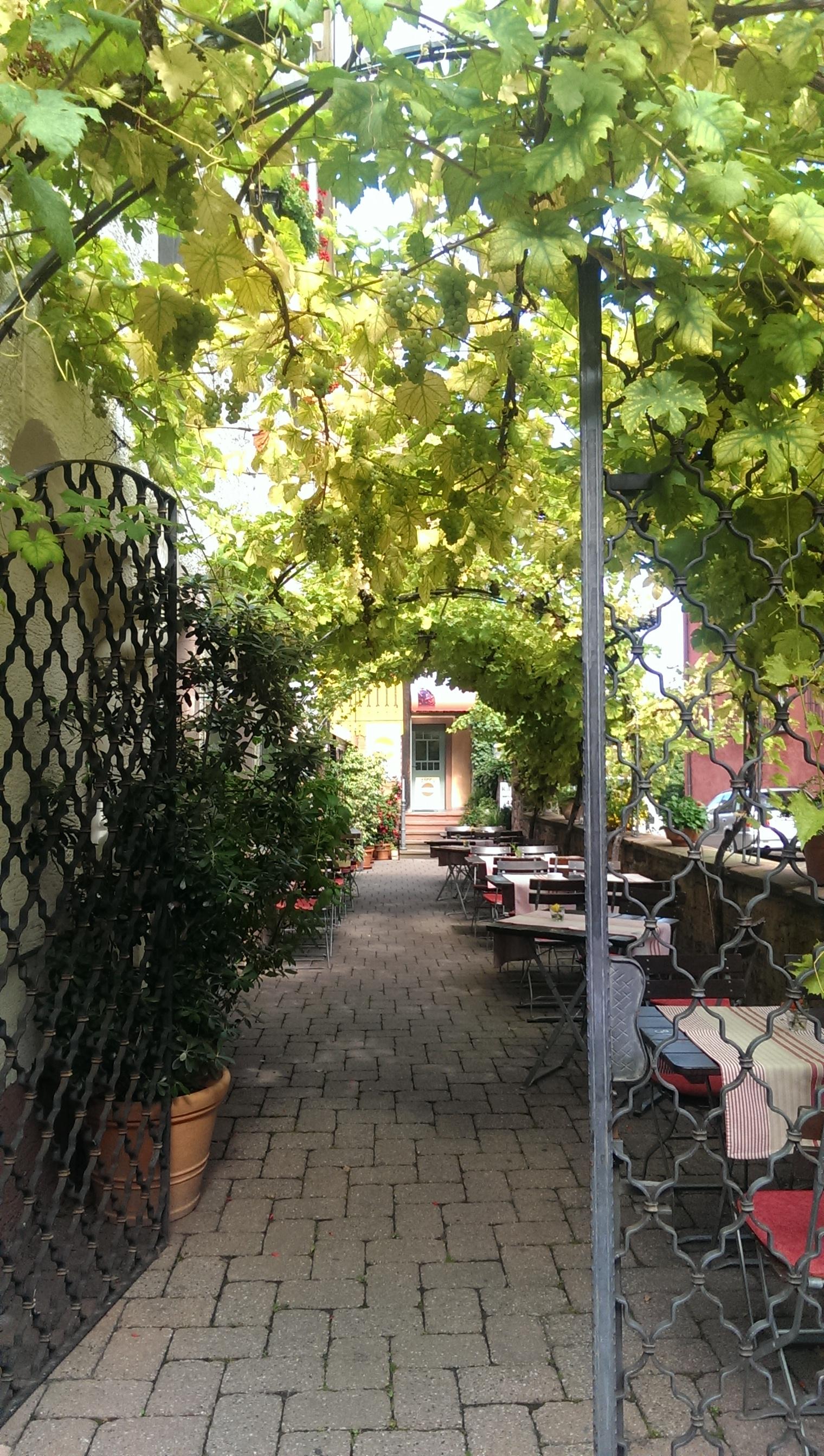 Zipf's Wein- und Gasthof Steuer-客卧