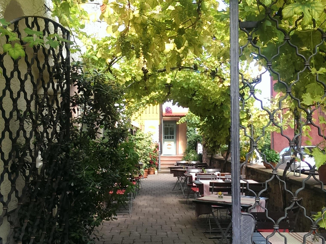 Zipf's Wein- und Gasthof Steuer主图