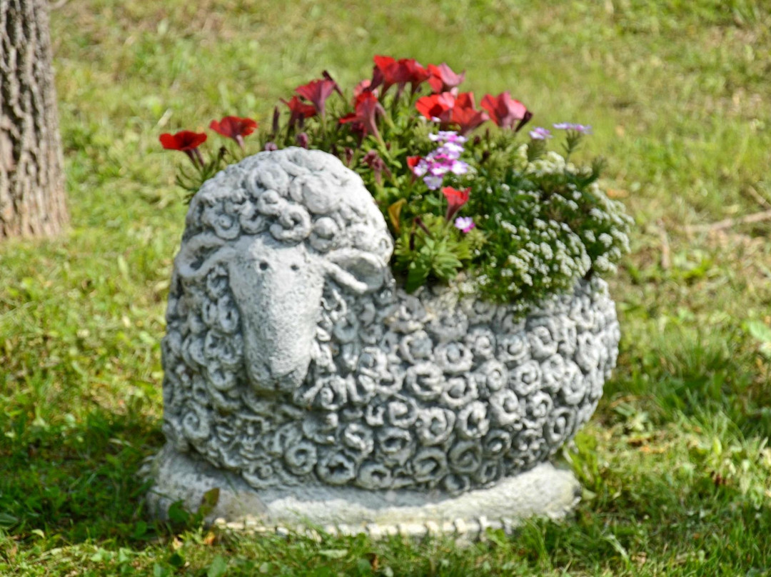 Riley's Bed and Breakfast主图