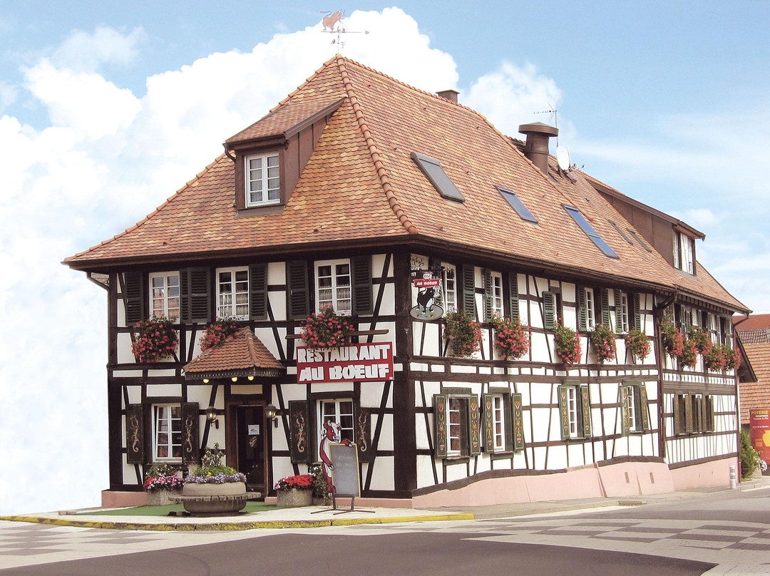 Sessenheim旅游攻略图片