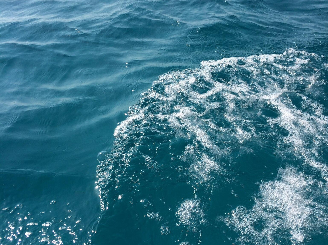 Zanzibar Watersports-桑给巴尔市必去景点