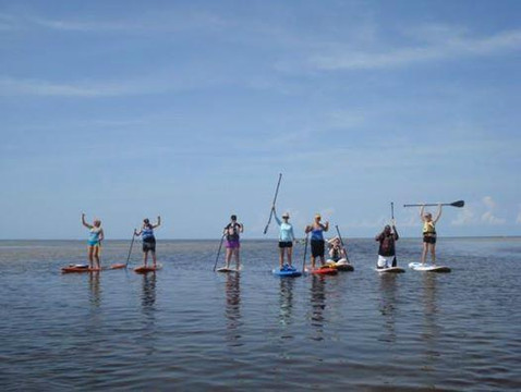 Clearly Connected Nature Tours-迈尔斯堡必去景点