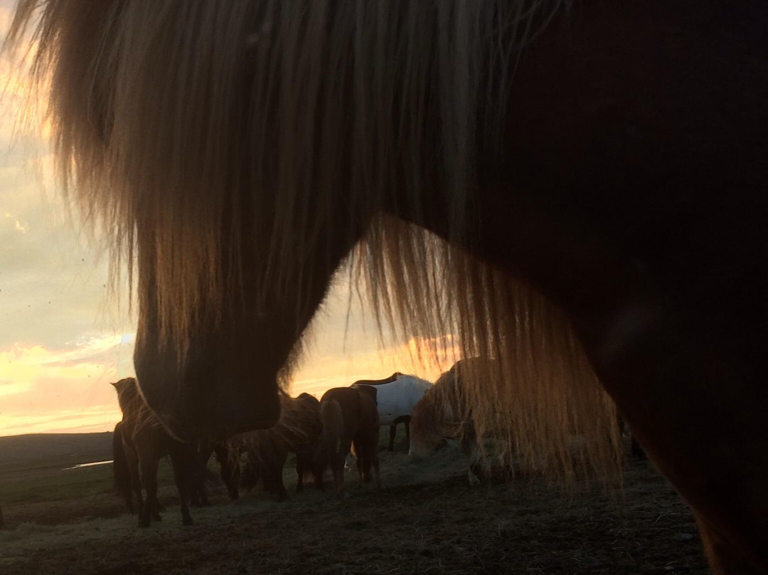 Riding Tours South Iceland-Fludir必去景点