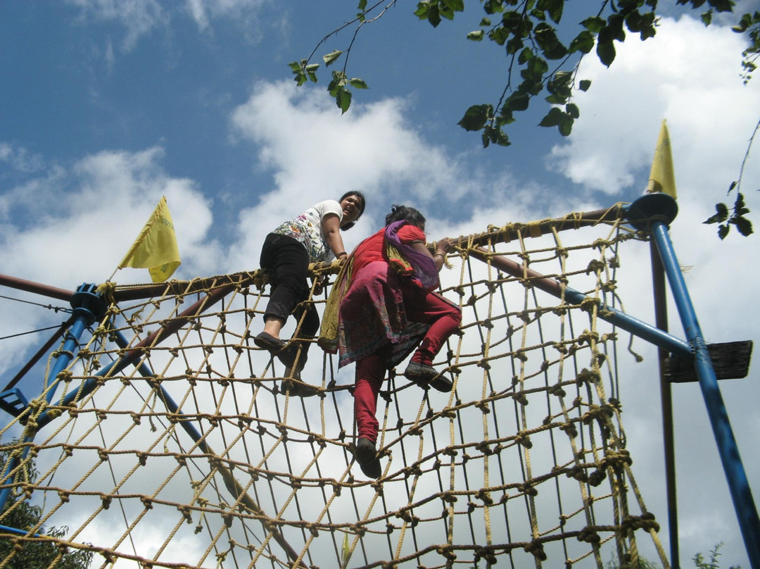 Safari Activity Park景点图片