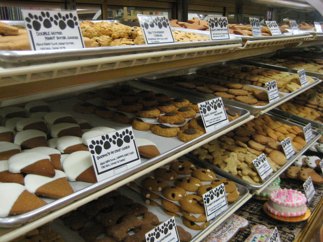 The Hungry Hound-Somerville必去景点