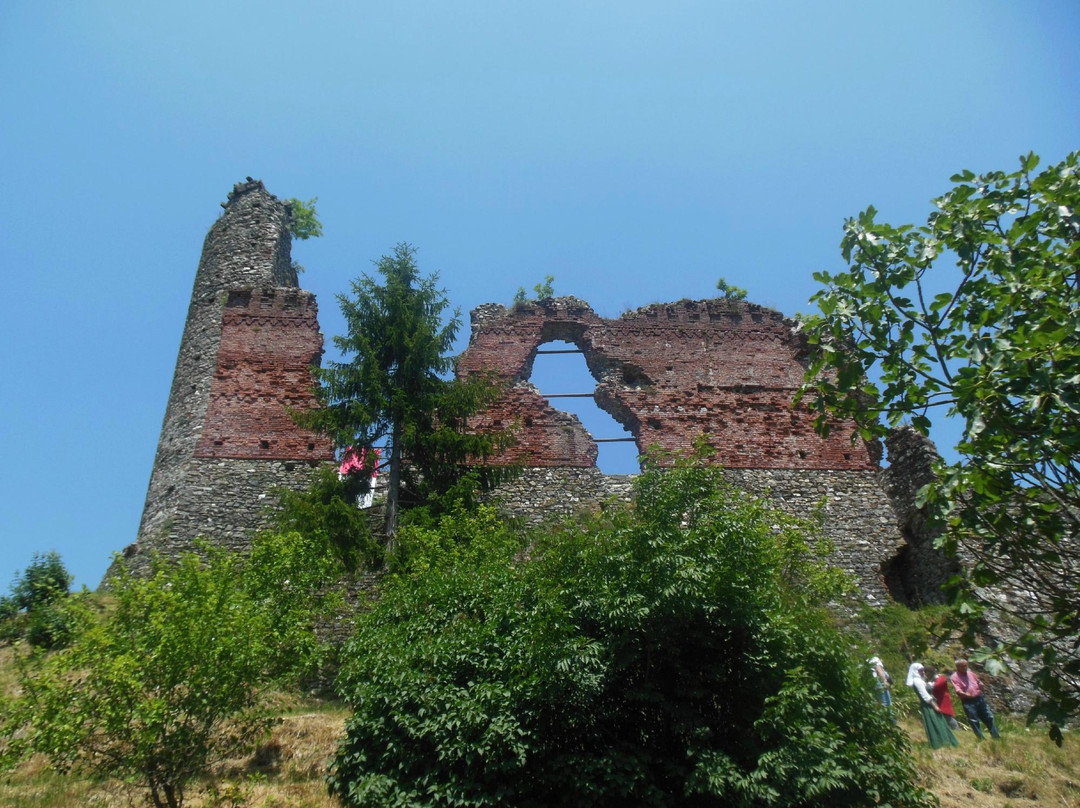 Castello di Borgo Fornari景点图片