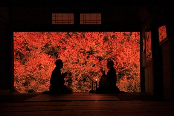 Ankokuji Temple-丰冈市必去景点