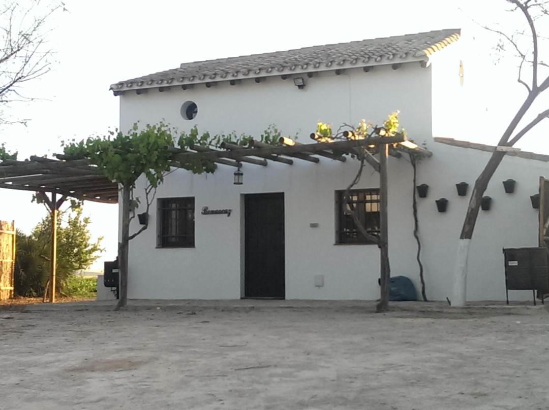 Complejo Rural Los Villares