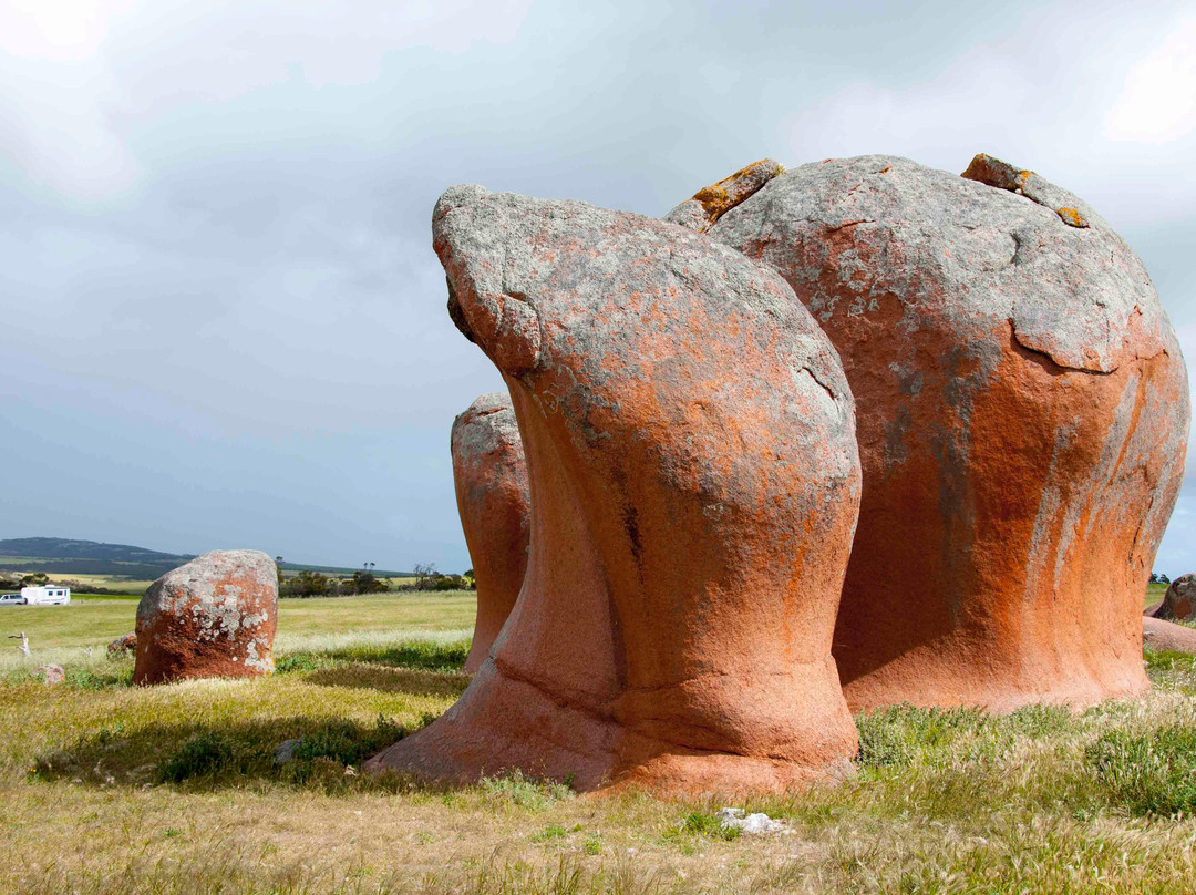 Murphy's Haystacks-Streaky Bay必去景点