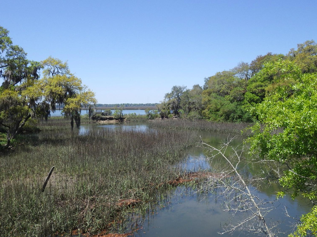 Spanish Moss Trail-博福特必去景点
