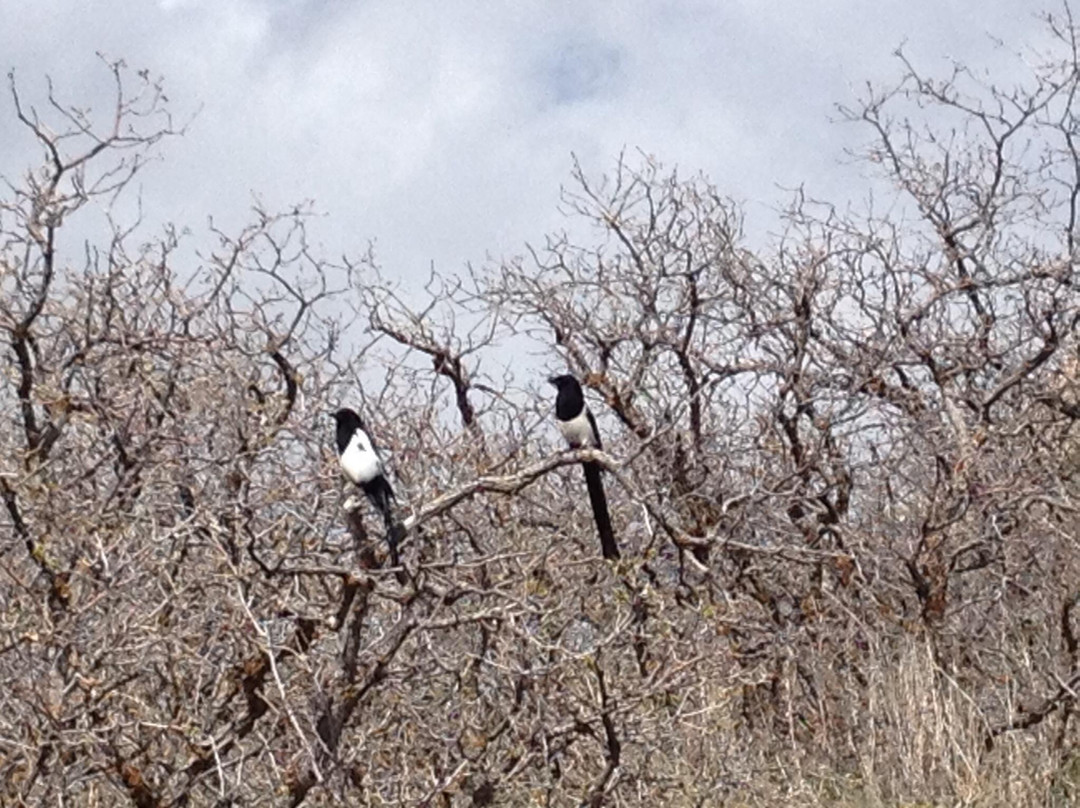 Skyline Trail-奥格登必去景点