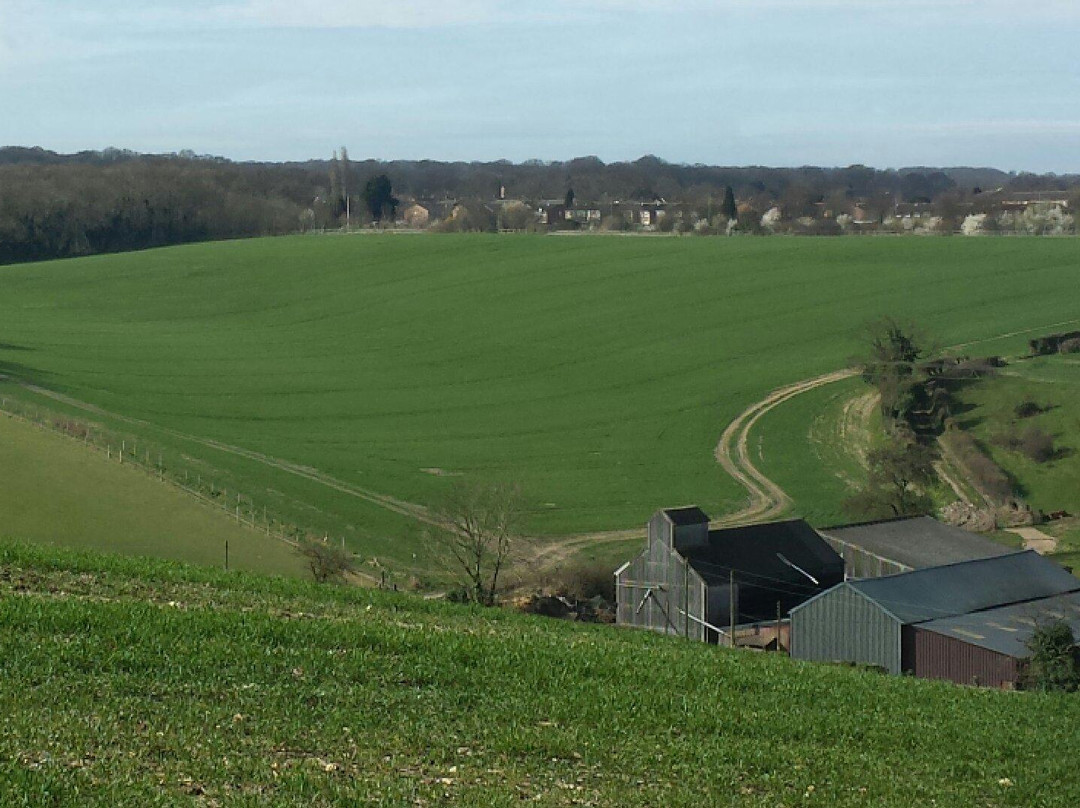 Capstone Farm Country Park景点图片