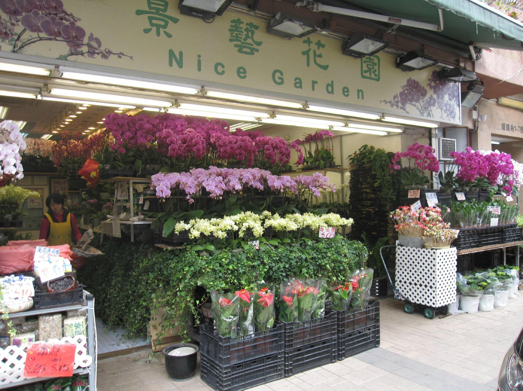 花墟道-香港必去景点