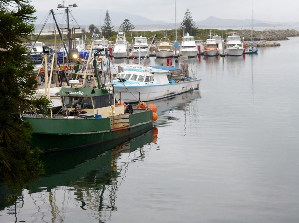 Bermagui Fishermen's Wharf景点图片