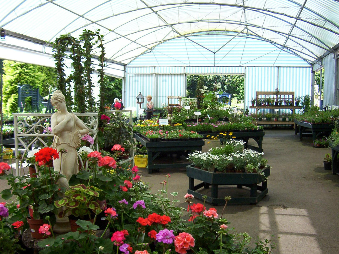 Scotland Nurseries Garden Centre Gift Shop景点图片