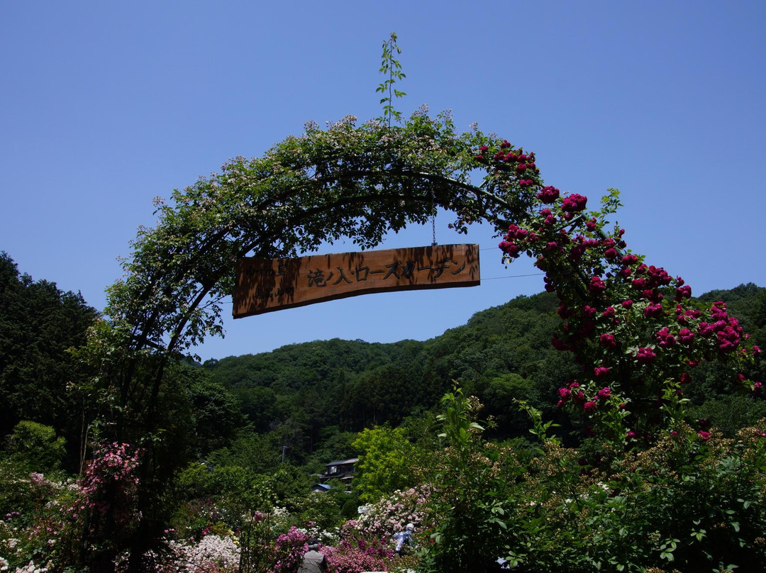 Akagi Nature Park景点图片