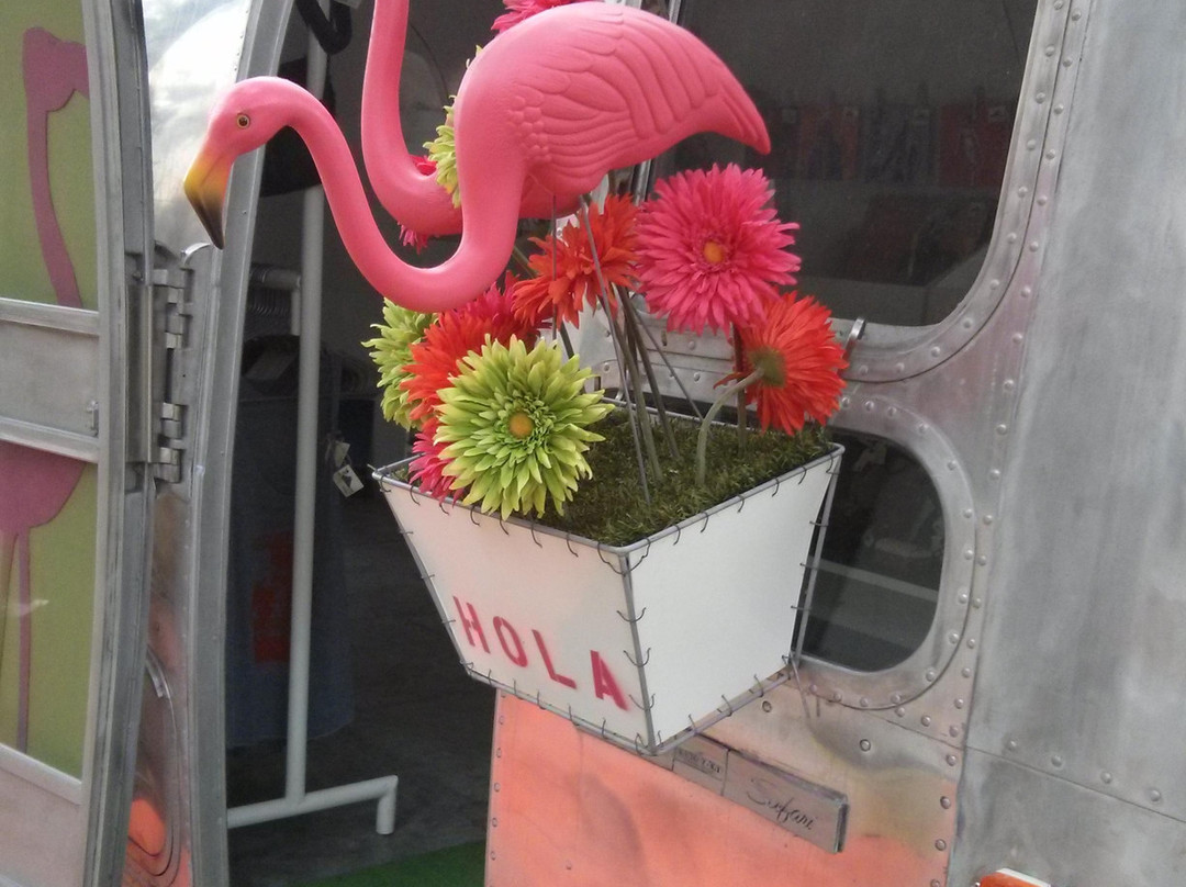 Plastic Flamingo景点图片