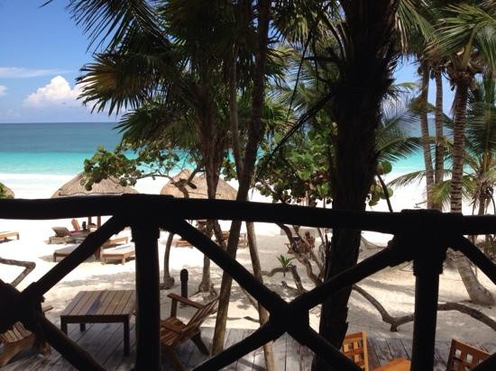 Chunyaxche餐馆和美食-Rosa del Viento