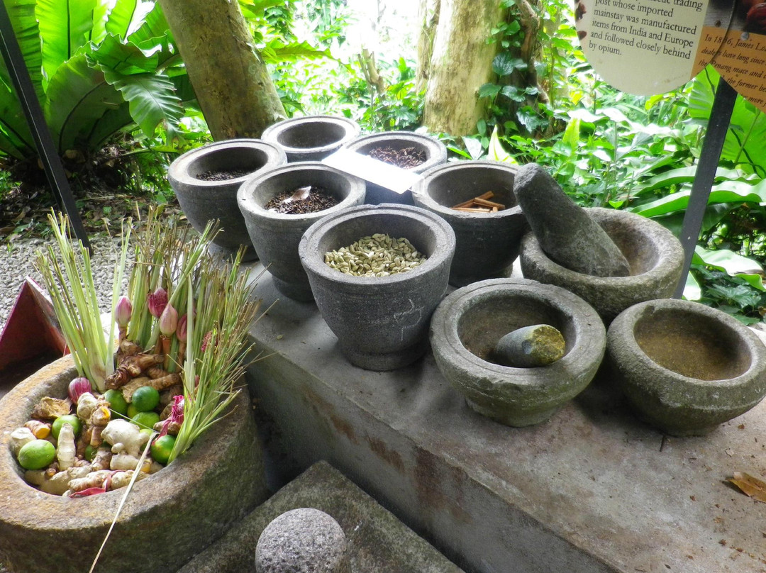 热带香料园-巴巷海滩必去景点