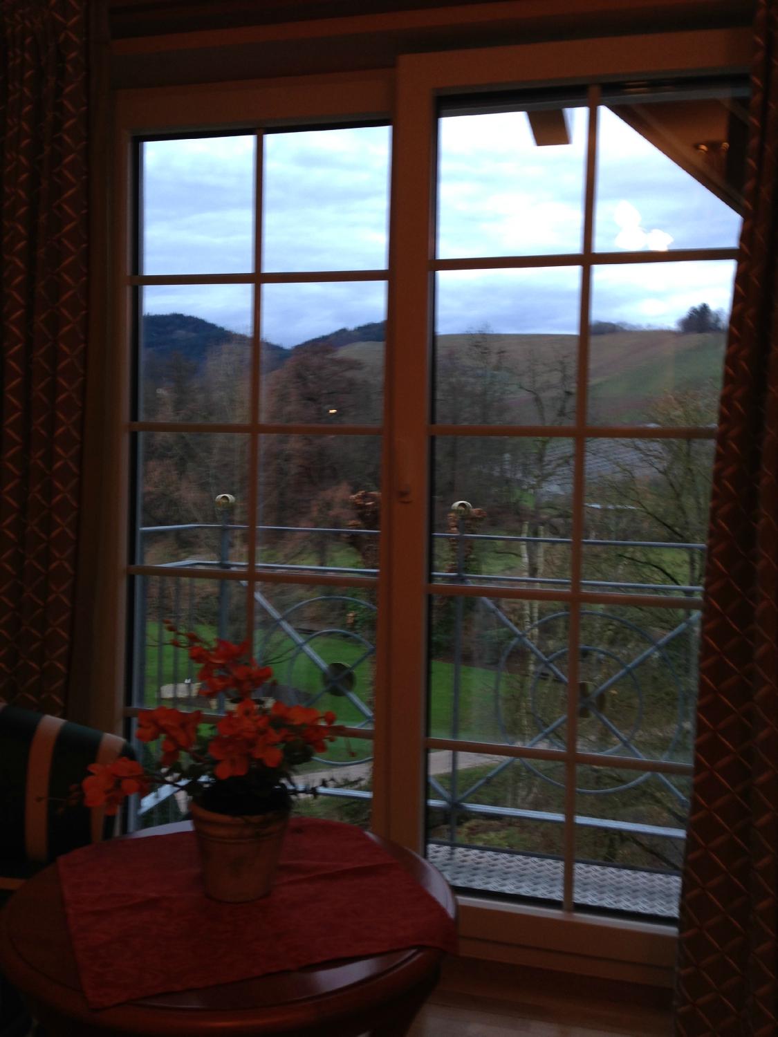 Inn Rebstock-酒店景观