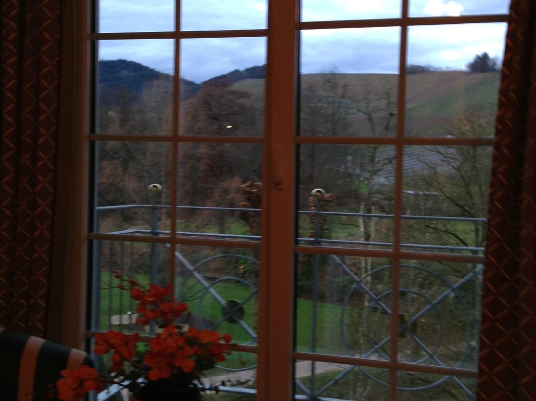 根根堡酒店住宿-Inn Rebstock