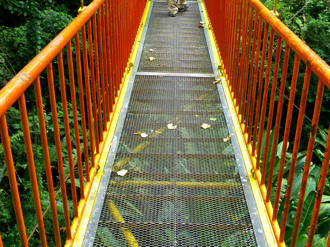 Jardín Botánico del Quindío-Calarca必去景点