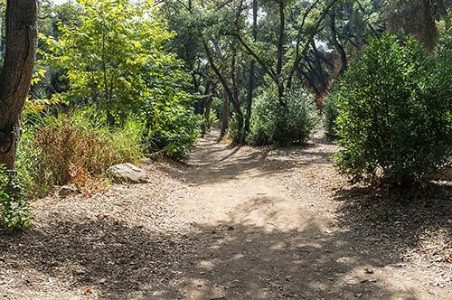 圣巴巴拉热带花园-圣巴巴拉必去景点