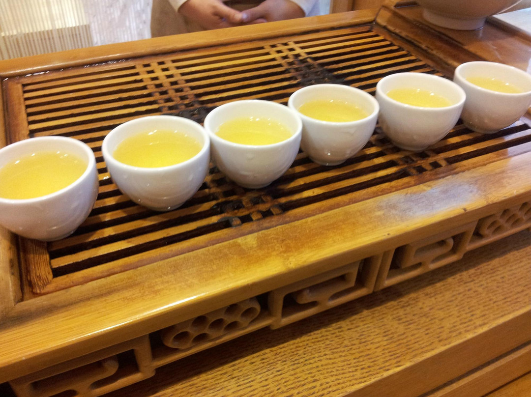 绿茶博物馆-西归浦市必去景点