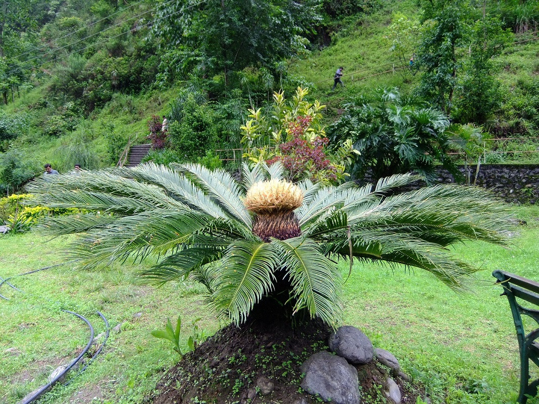 Sewaro Rock Garden-Pelling必去景点
