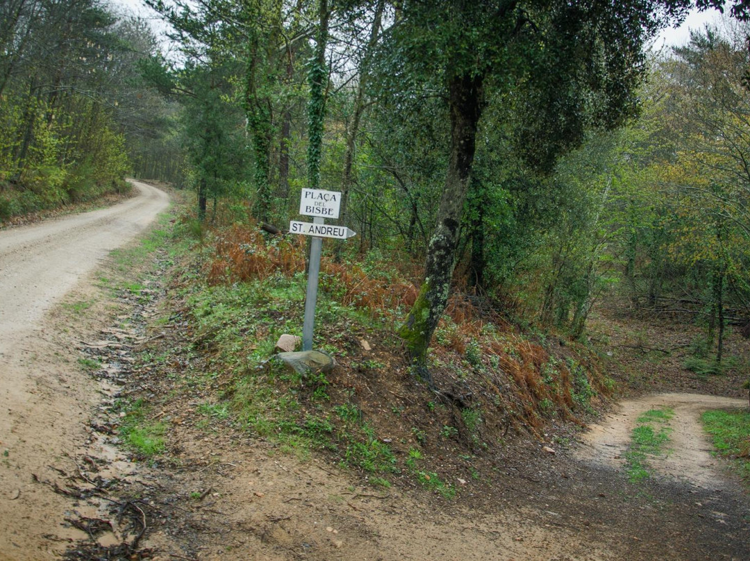 Casa Sant Andreu de Bancells主图