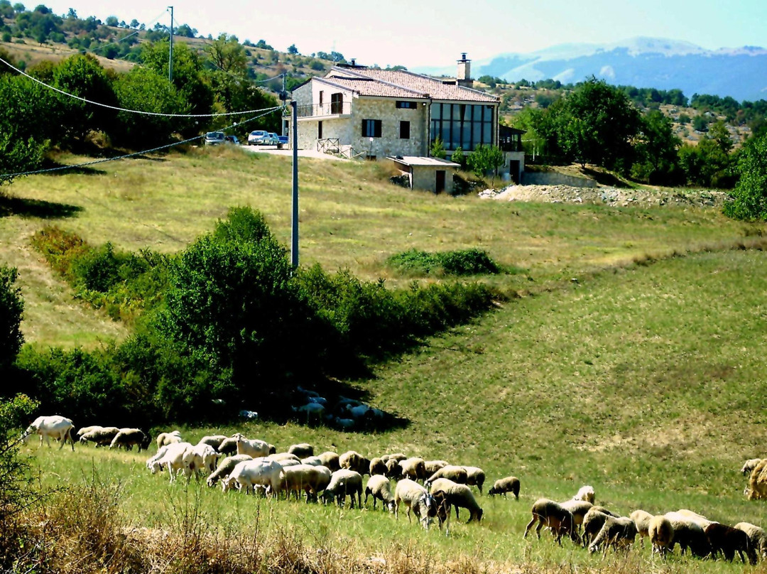 Santo Spirito B&B主图