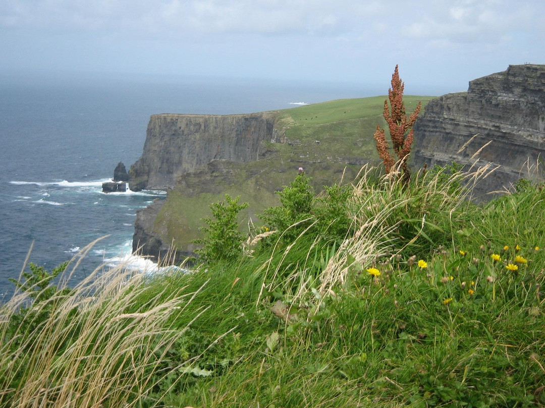 Cliffs of Moher-Liscannor必去景点