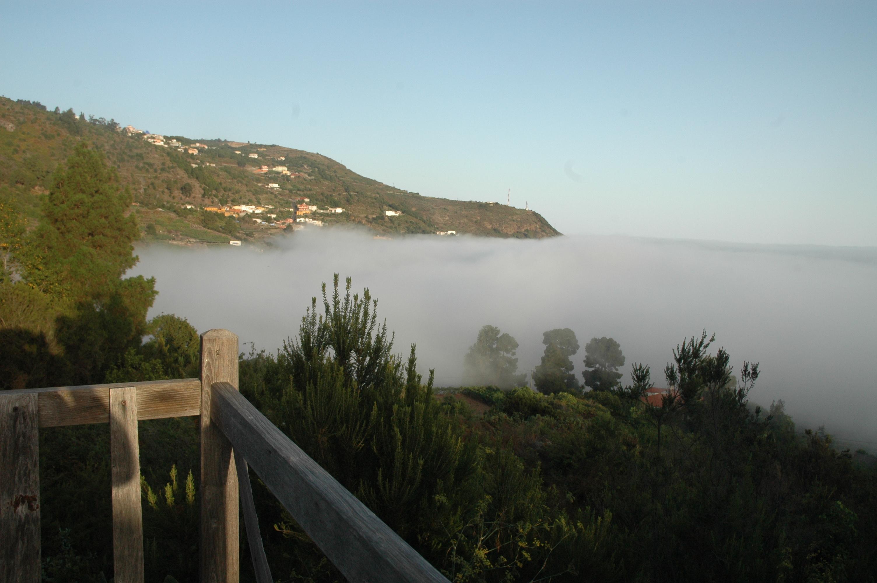 Finca Los Ciruelos-酒店景观
