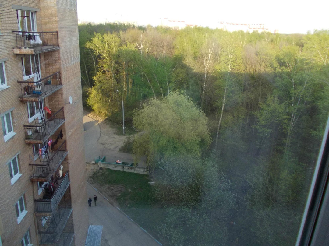 Hotel Podlipki