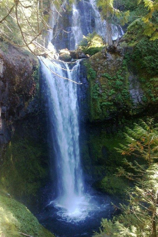 Dry Creek Falls Hike-Cascade Locks必去景点