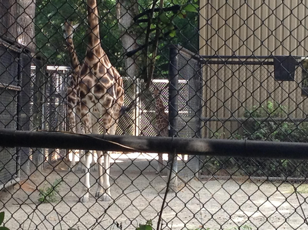 林地公园动物园-西雅图必去景点