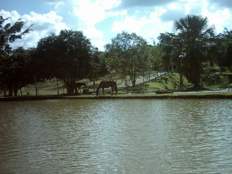 Hotel Quinta Das Alamandas