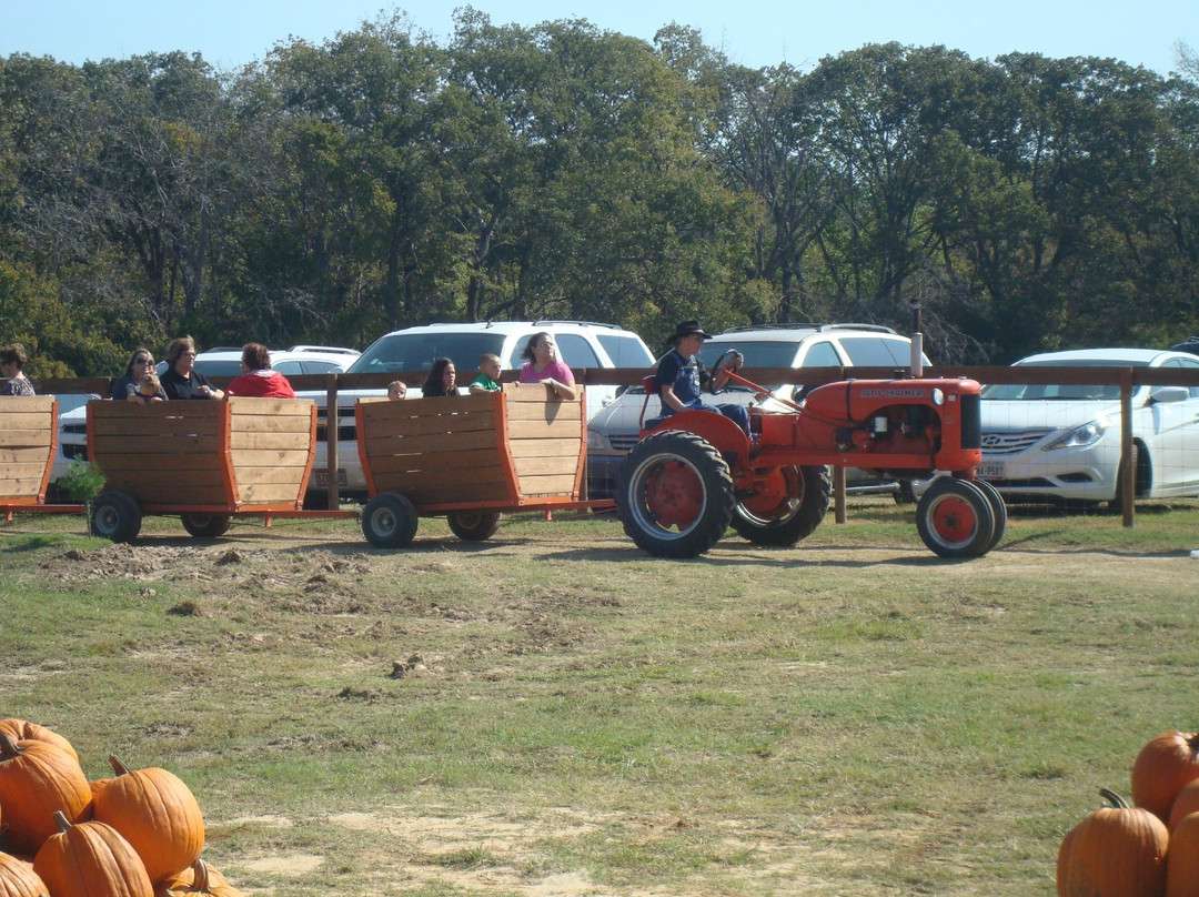 YesterLand Farm-Canton必去景点